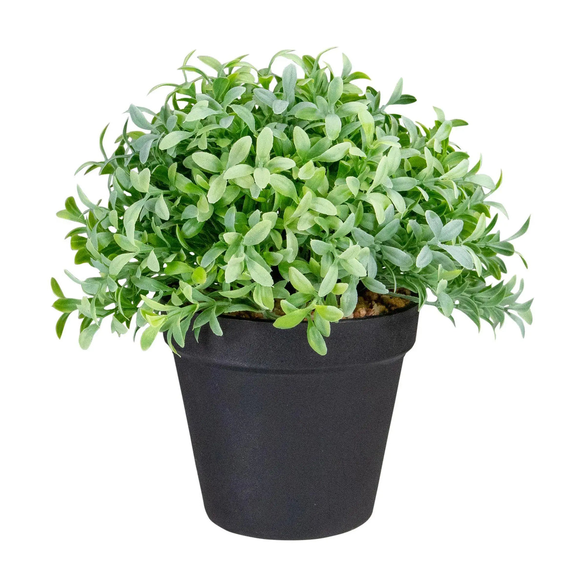 Northlight 7.5" Potted Green Artificial BoxwoodPlant