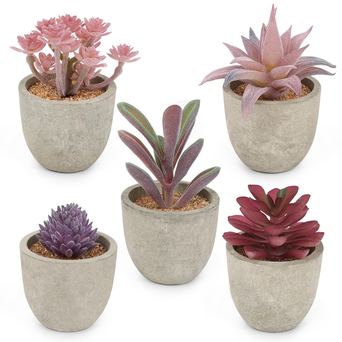 Coitak Artificial Succulent Plants Potted, Artificial Plants Indoor, 5 PCS