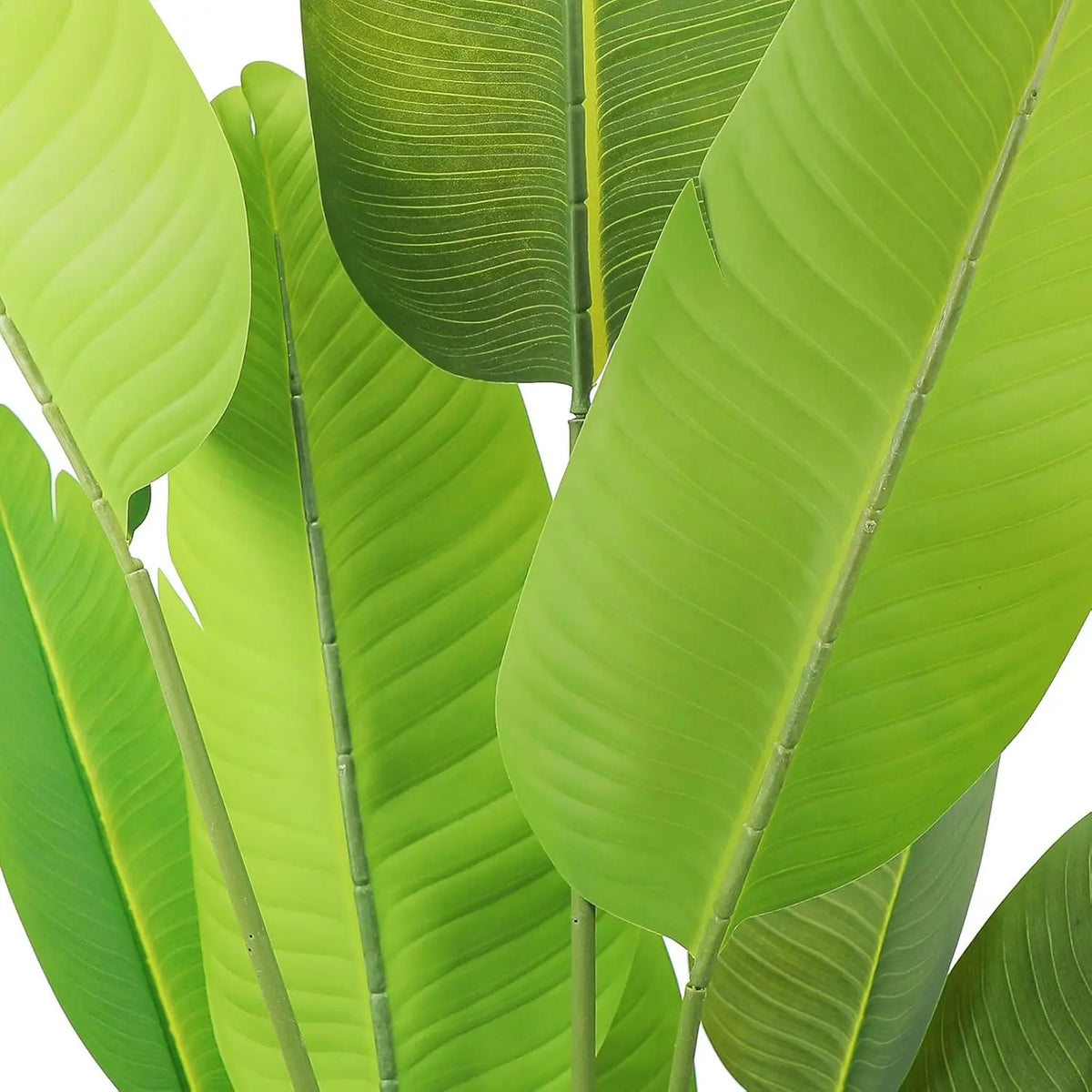 5ft (60in) Premium UV-Resistant Lifelike Plastic Bird of Paradise Artificial Potted Plant with Dried Moss, Casual Artificial Plants for Office, Aesthetic Home Decor Tropical House Decor Gift (Indoor Outdoor Use)