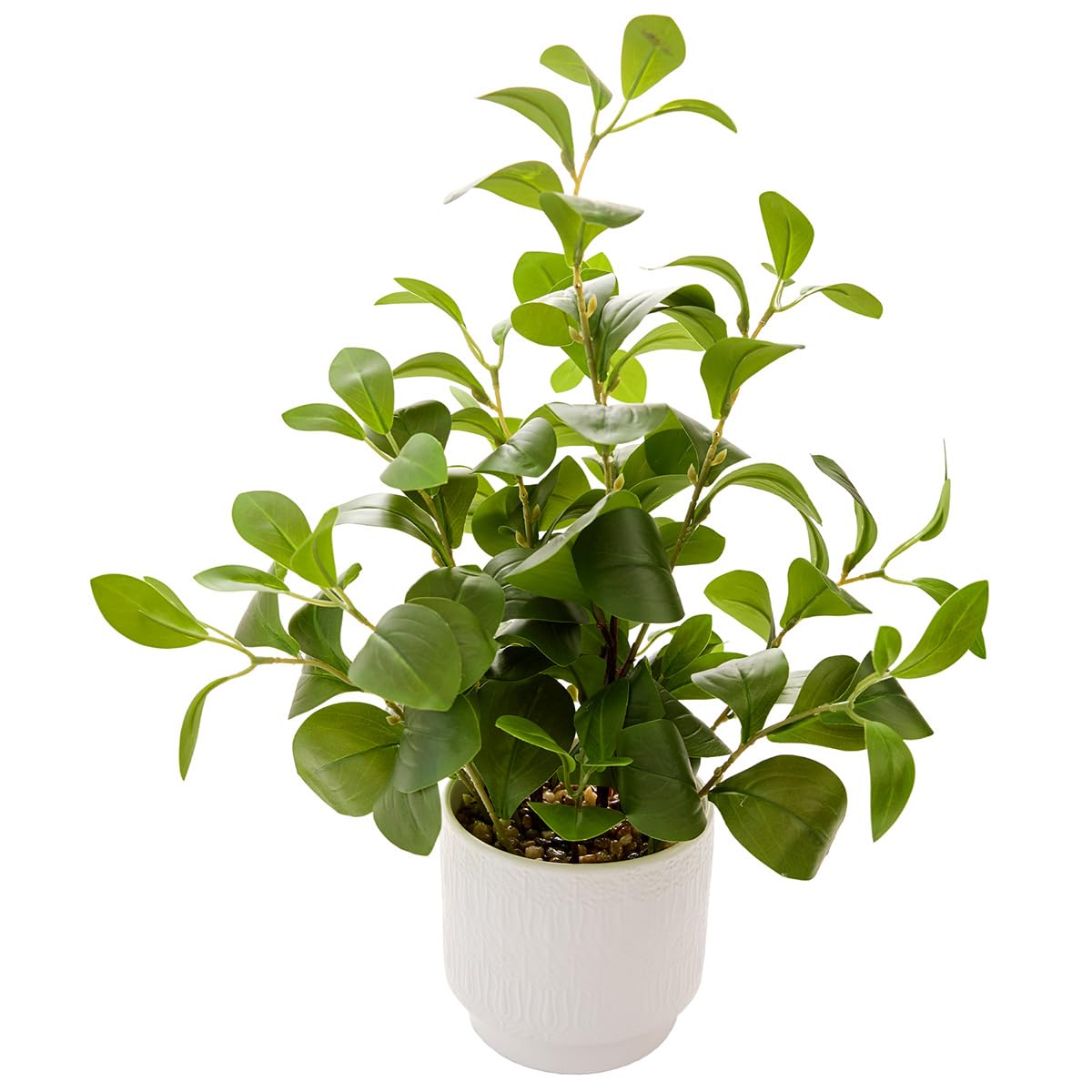 Artificial Peperomia Plants 16” Tall Lifelike Faux Greenery in 6” White Ribbed Ceramic Planter Realistic Indoor Fake Potted Plant for Home Office Desk Shelf Bathroom Bedroom Farmhouse Decor