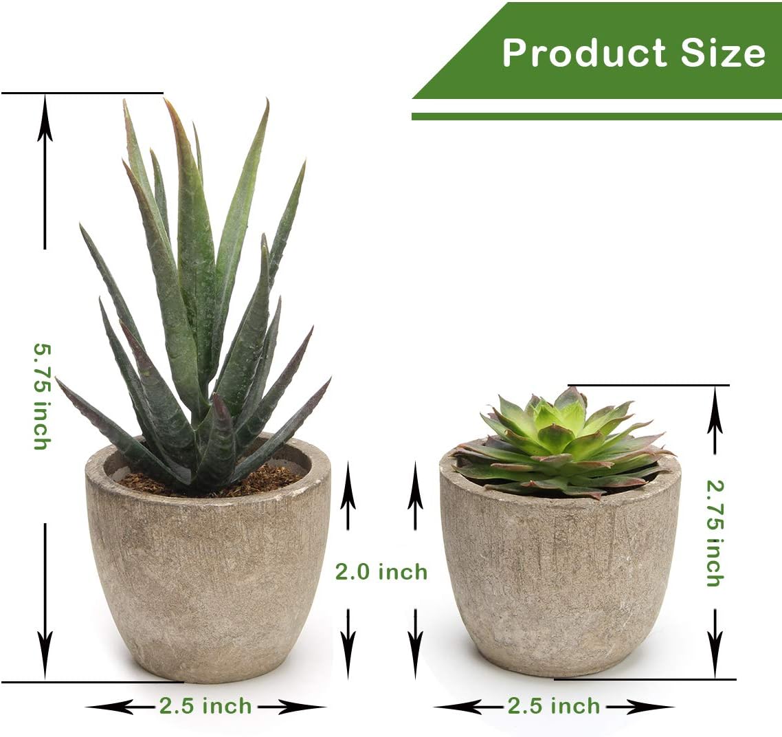 Coitak Artificial Succulent Plants Potted, Artificial Plants Indoor, 5 PCS