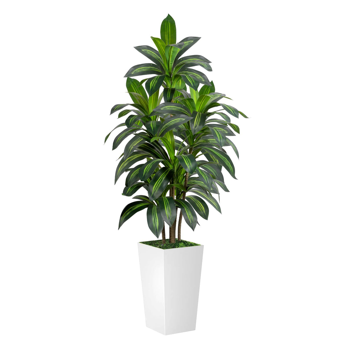 VIVATREES Dracaena Tree 6FT Artificial, 72in Tall Faux Dracaena Tree with 15.7 White Planter, Fake Potted Tree for Indoor & Outdoor Home Office Decor