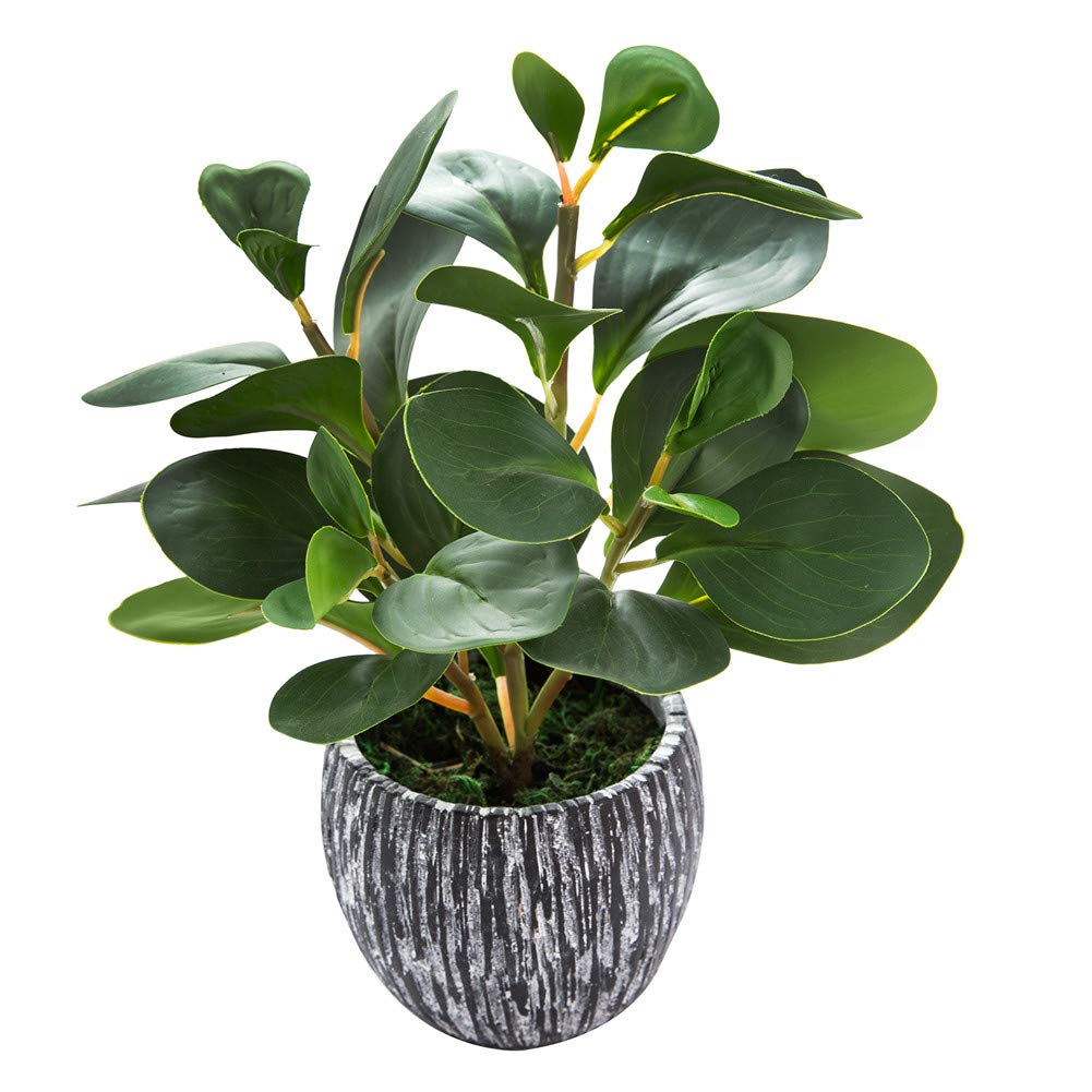 AlphaAcc Fake Plants Potted Artificial Succulents Home Office Decor