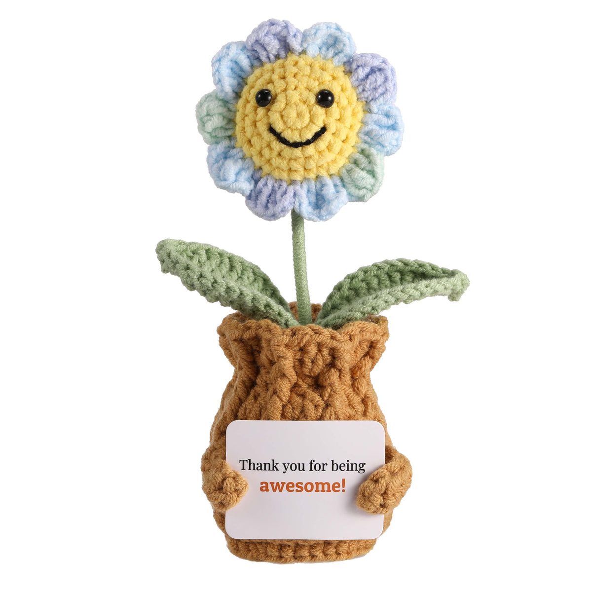 Forget-Me-Not Crochet Flower Potted Plant Gift