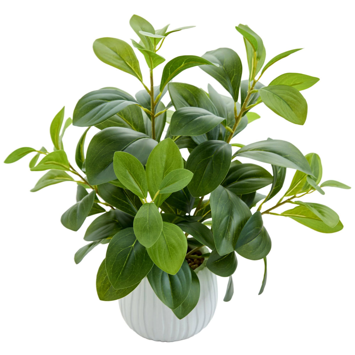 AlphaAcc Fake Plants Potted Artificial Succulents Home Office Decor