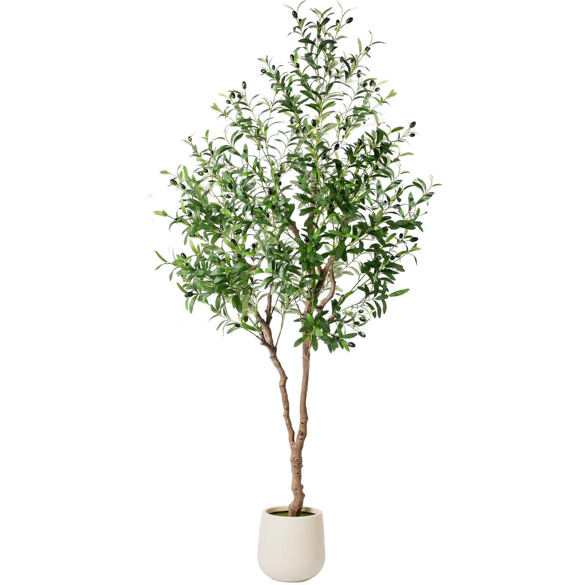 6FT Faux Olive Tree with Decorative Planter, Olive Trees Artificial Indoor with Textured Trunk, Silk Leaves and Olive Fruits, Fake Plants for Living Room, Entryway and Office Decor