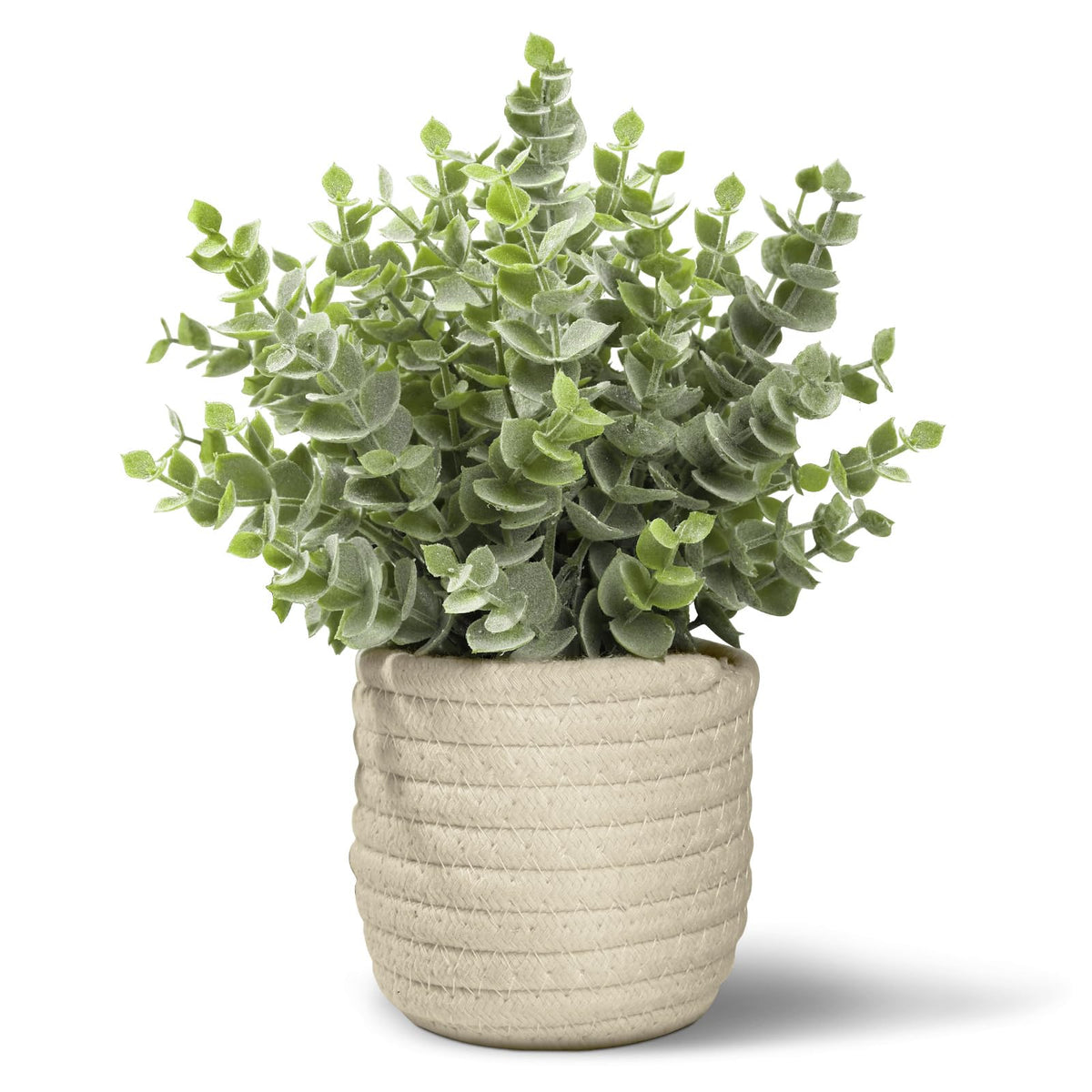 Hopewood Faux Plants, Small Fake Plant for Bathroom, Decorative Artificial Plants for Farmhouse Desk Shelf Decor with A Weave Basket (9.8inch)