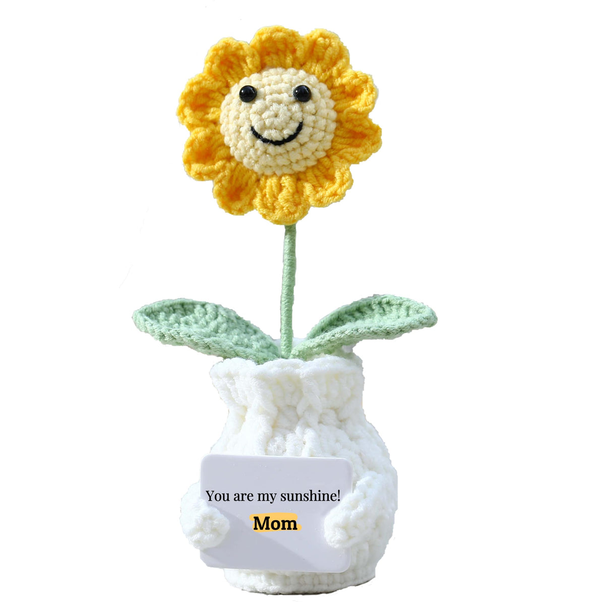 Forget-Me-Not Crochet Flower Potted Plant Gift