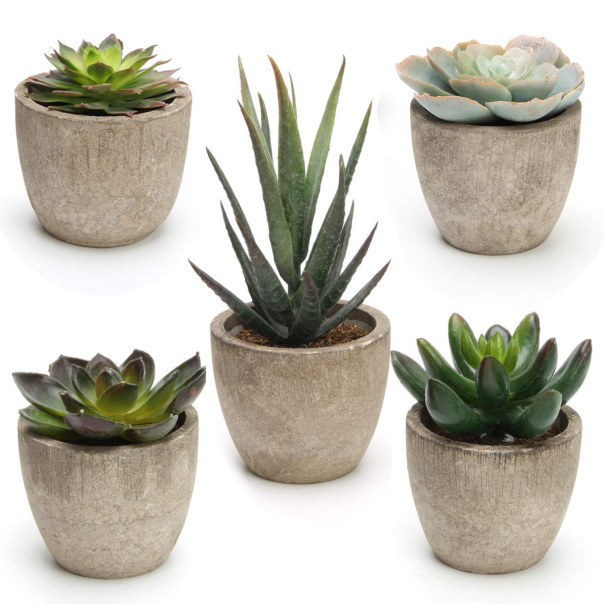 Coitak Artificial Succulent Plants Potted, Artificial Plants Indoor, 5 PCS